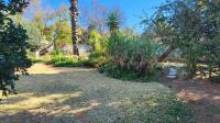 Backyard of property in Flimieda