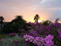  of property in Milnerton
