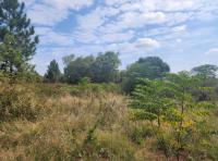 Smallholding for Sale for sale in Kameeldrift