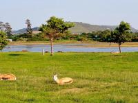  of property in Plettenberg Bay