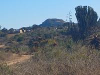Farm for Sale for sale in Polokwane