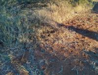 Land for Sale for sale in Bendor