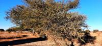 Land for Sale for sale in Polokwane