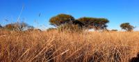Land for Sale for sale in Polokwane