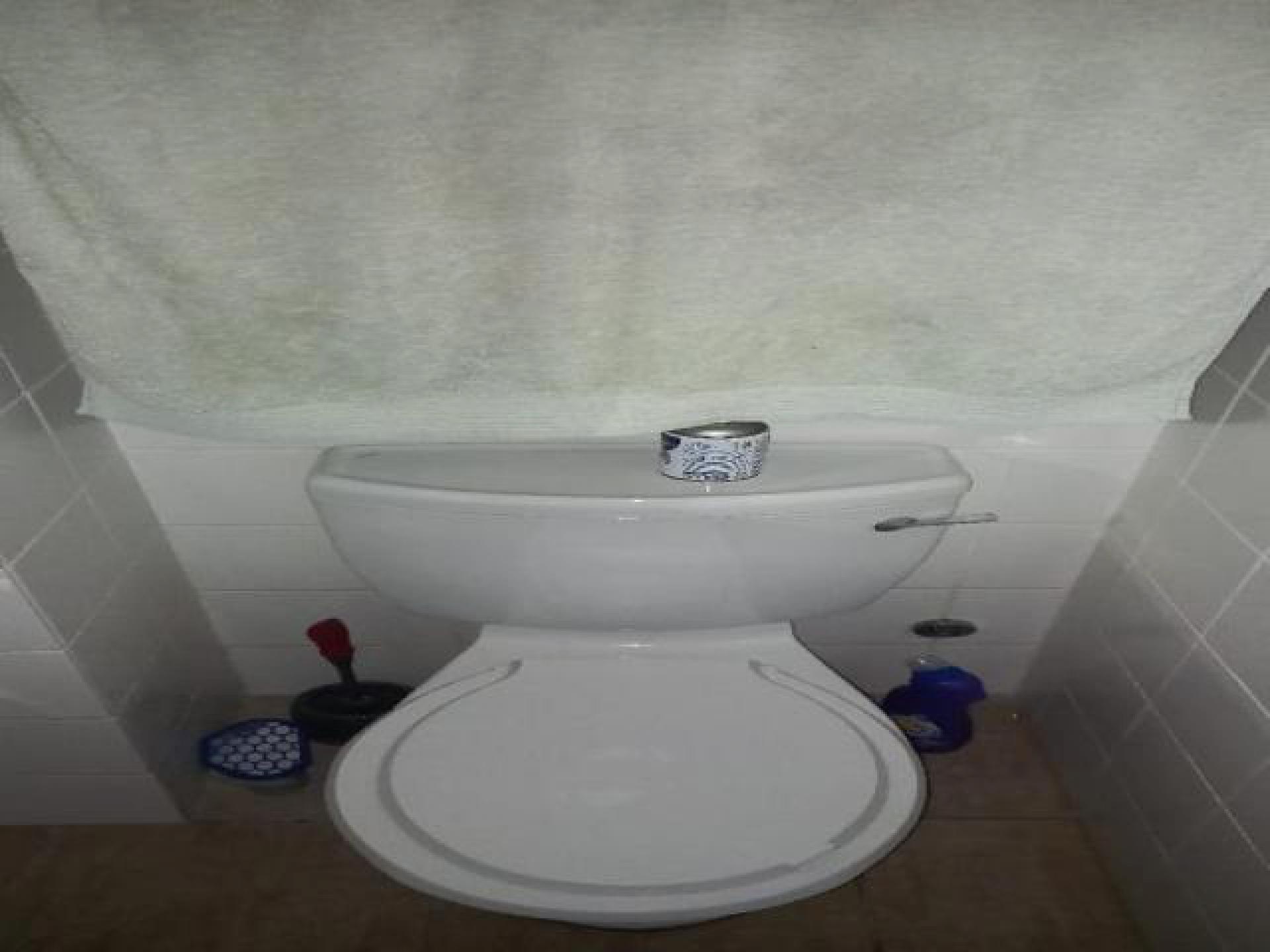 Bathroom 1 - 4 square meters of property in Zonnebloem