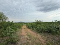  of property in Hoedspruit