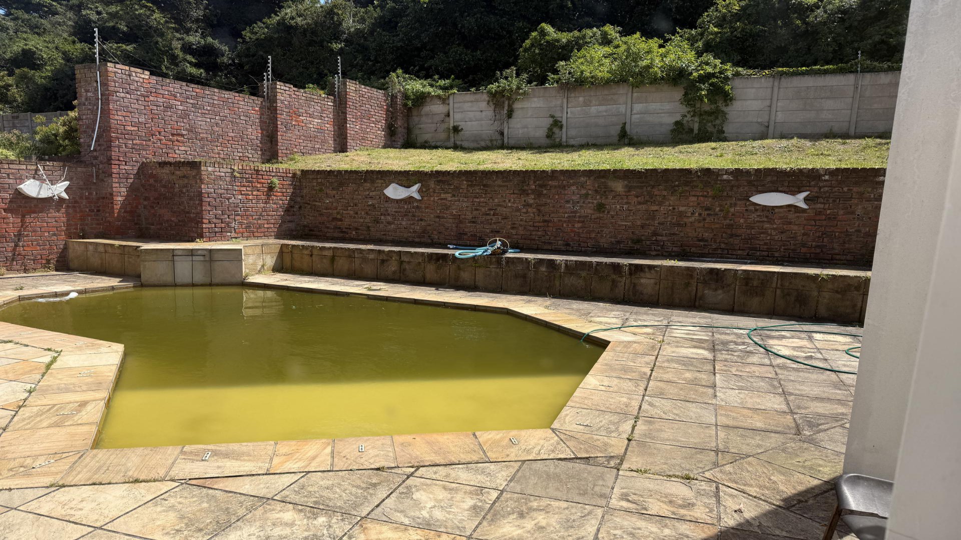Swimming Pool of property in Walmer Heights