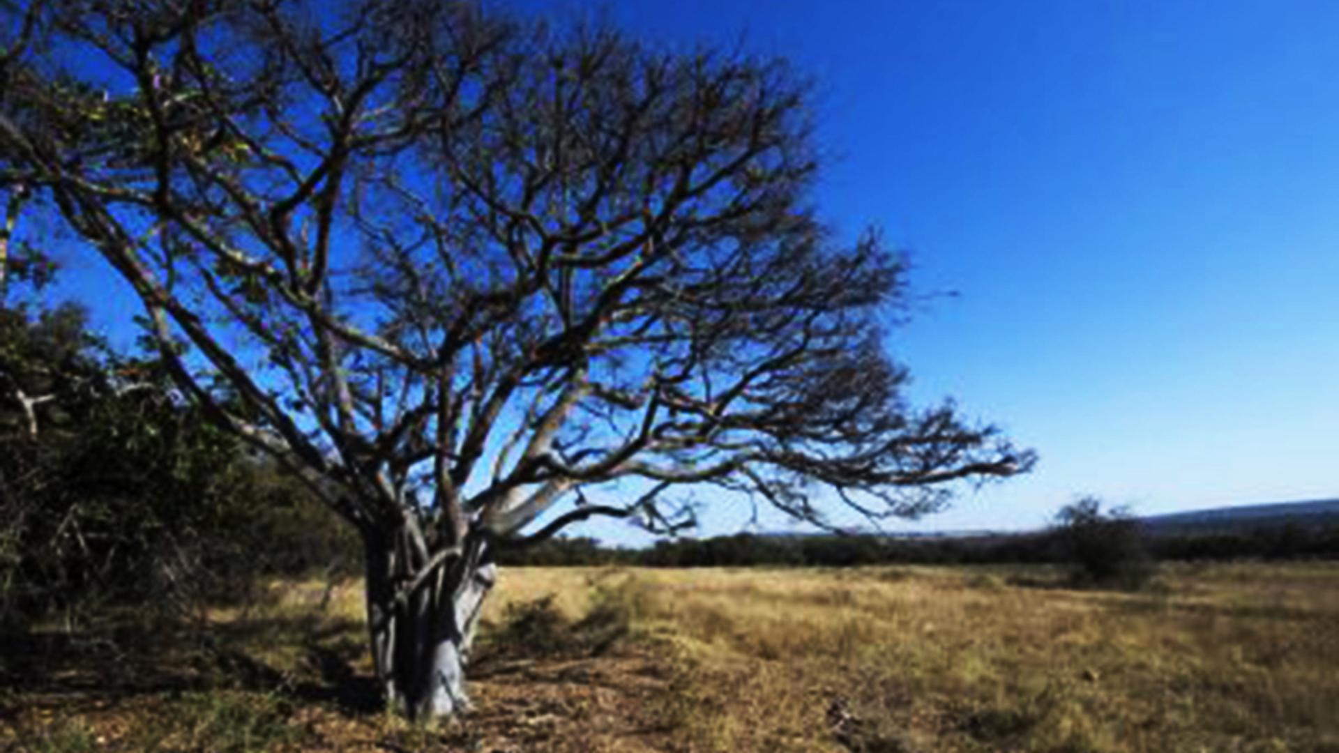 Spaces of property in Modimolle (Nylstroom)
