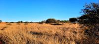 Land for Sale for sale in Polokwane