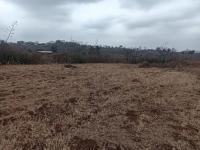  of property in Thohoyandou