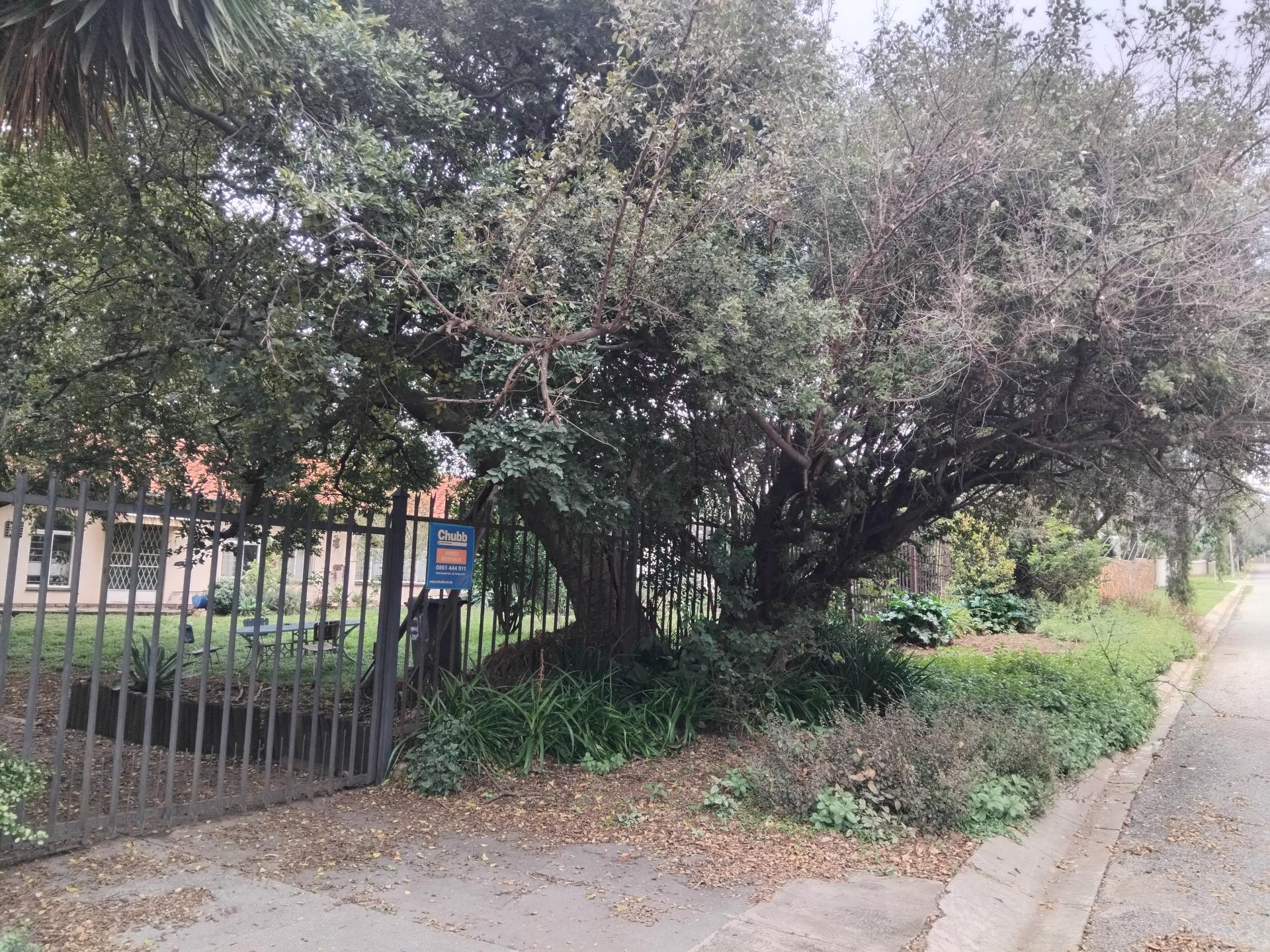 Front View of property in Weltevreden Park