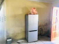 Kitchen of property in Sharon Park