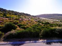  of property in Steenberg Golf Estate