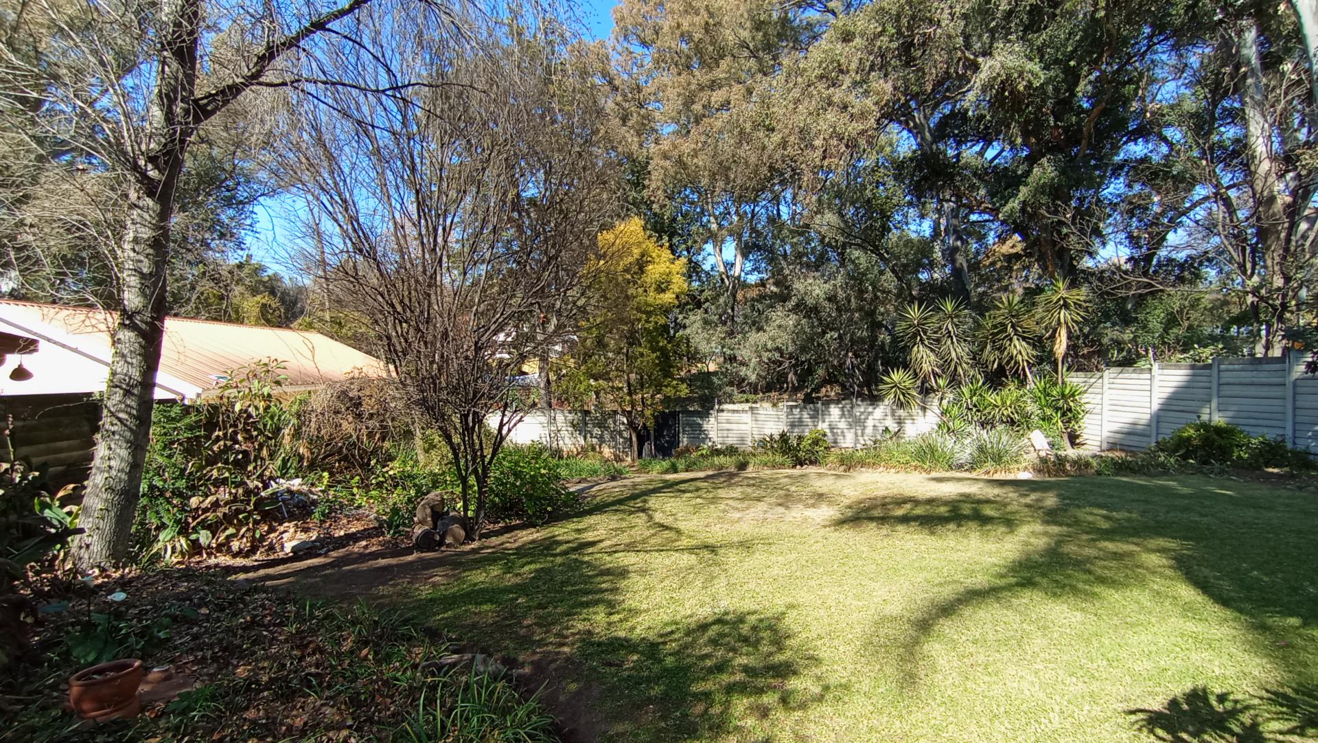 Backyard of property in Lyndhurst