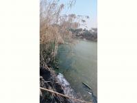  of property in Hartbeespoort