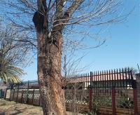 House for Sale for sale in Vanderbijlpark