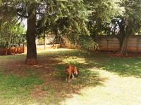  of property in Balfour