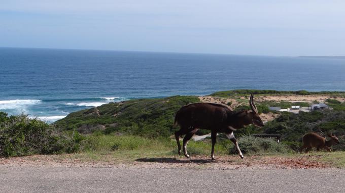 Land for Sale For Sale in Dana Bay - MR645356