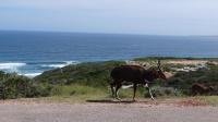 Land for Sale for sale in Dana Bay