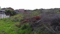  of property in Dana Bay