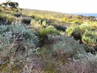 of property in Steenberg Golf Estate