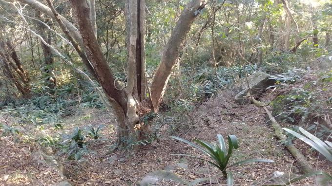 Land for Sale For Sale in Port St Johns - Home Sell - MR645529