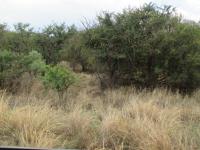 Land for Sale for sale in Leeuwfontein Estates