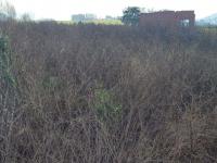  of property in New Hanover
