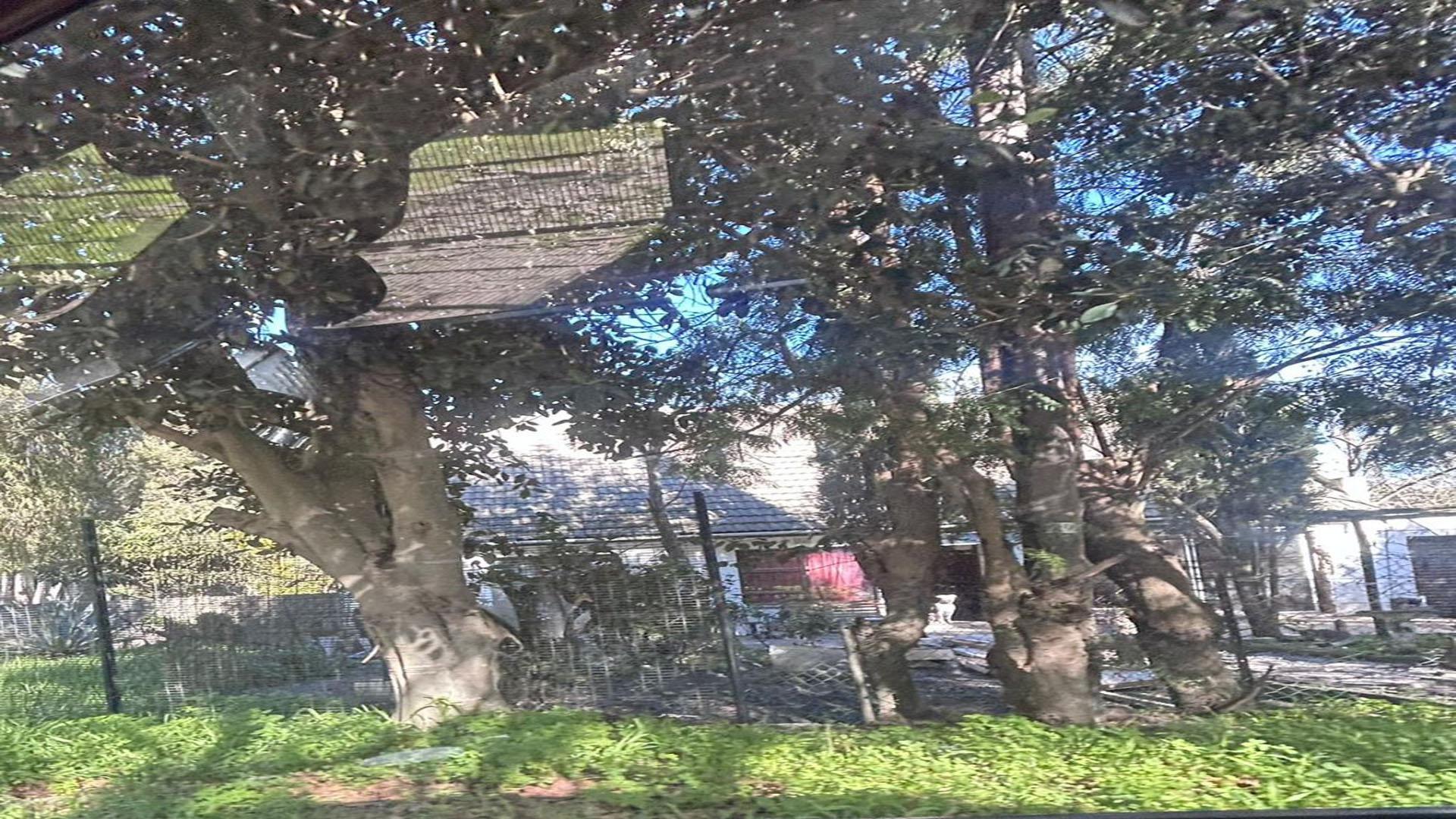 Garage of property in Fairview