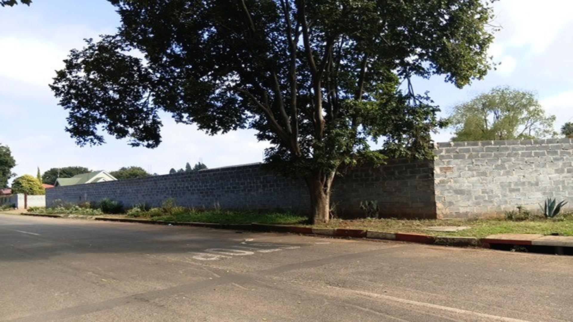 Backyard of property in Delmas