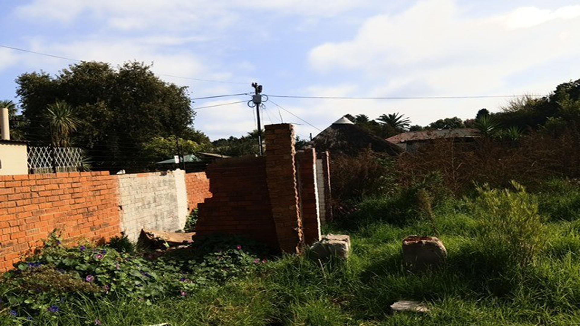 Backyard of property in Delmas