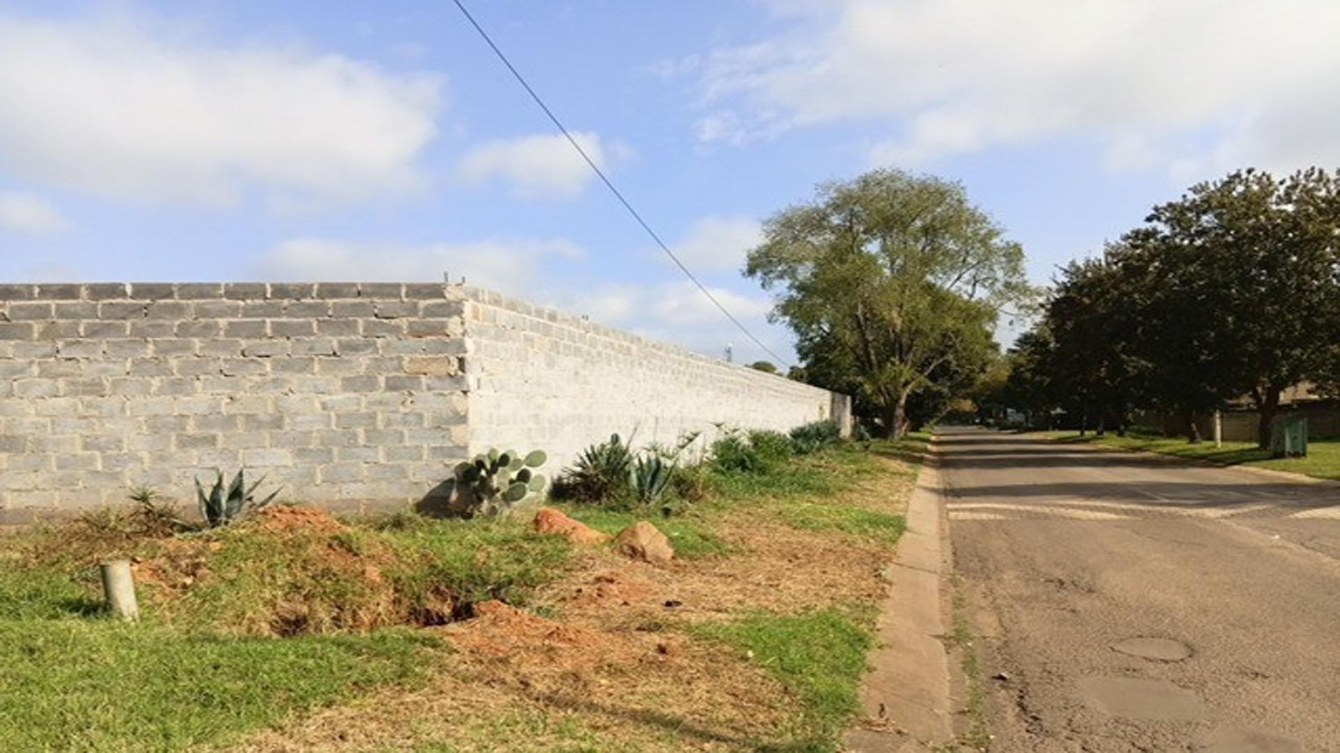 Backyard of property in Delmas
