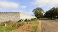 Backyard of property in Delmas
