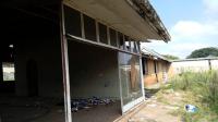 Backyard of property in Delmas