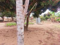  of property in Thohoyandou