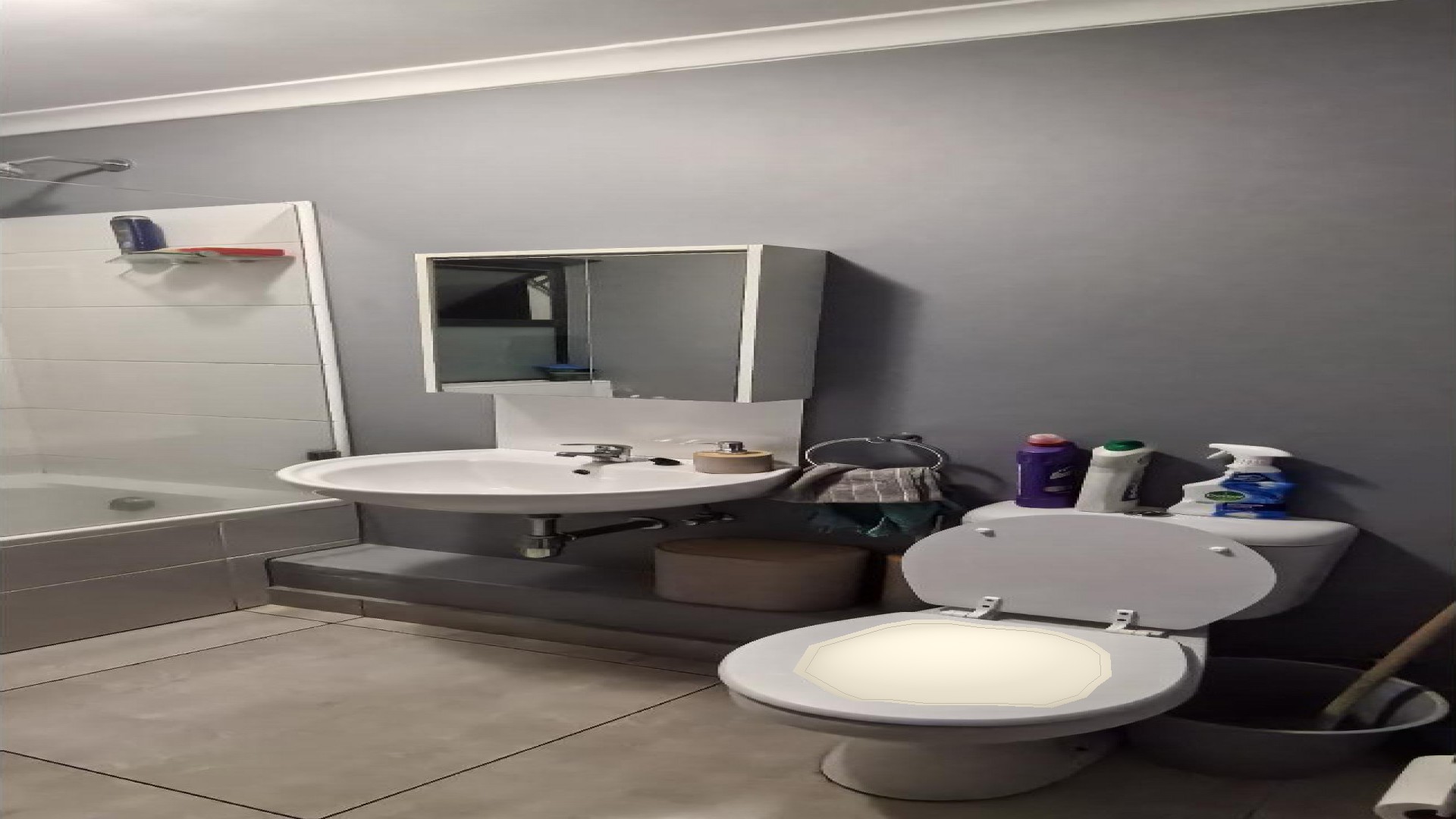 Bathroom 1 of property in Eerste River
