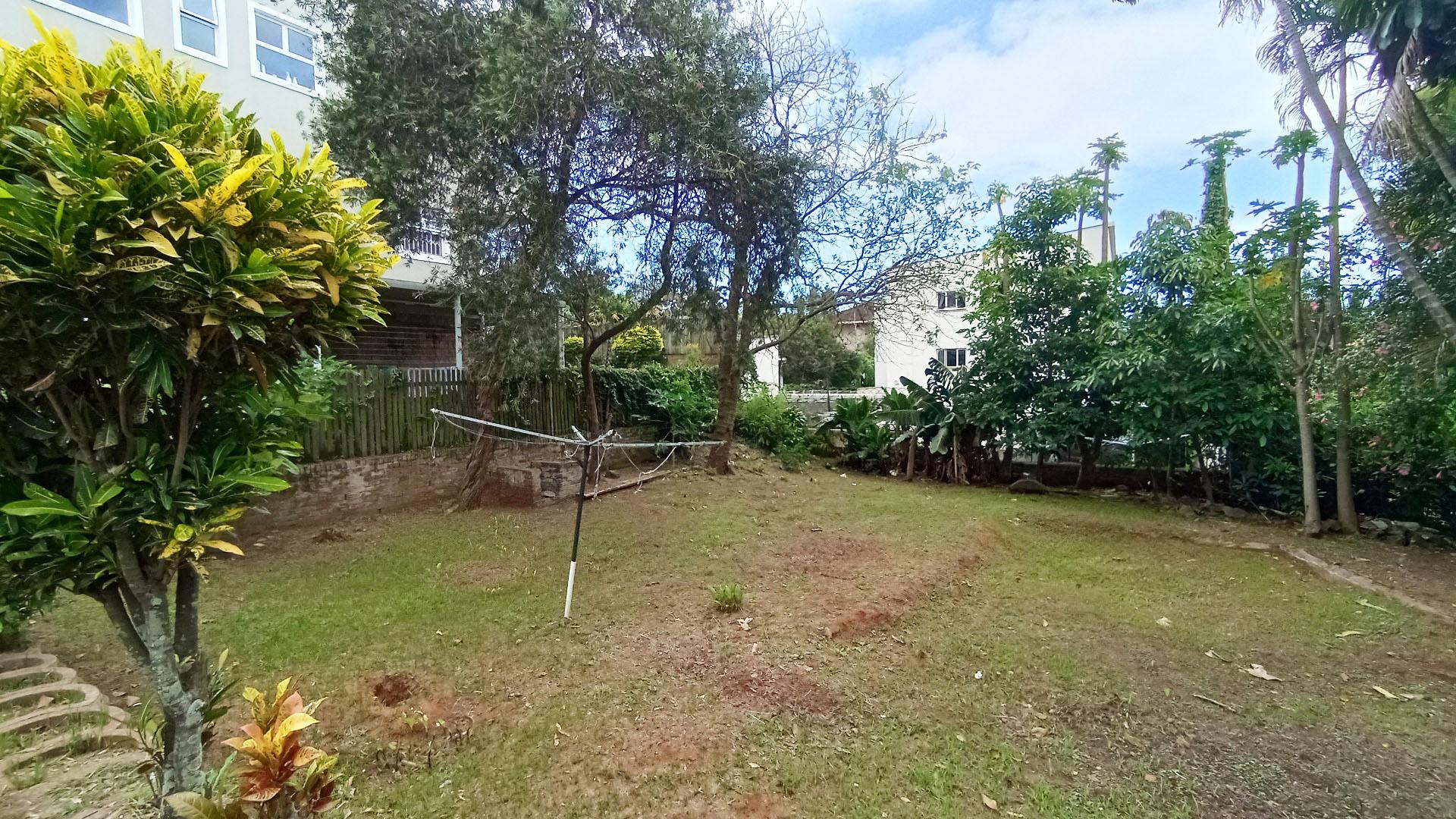 Backyard of property in Musgrave
