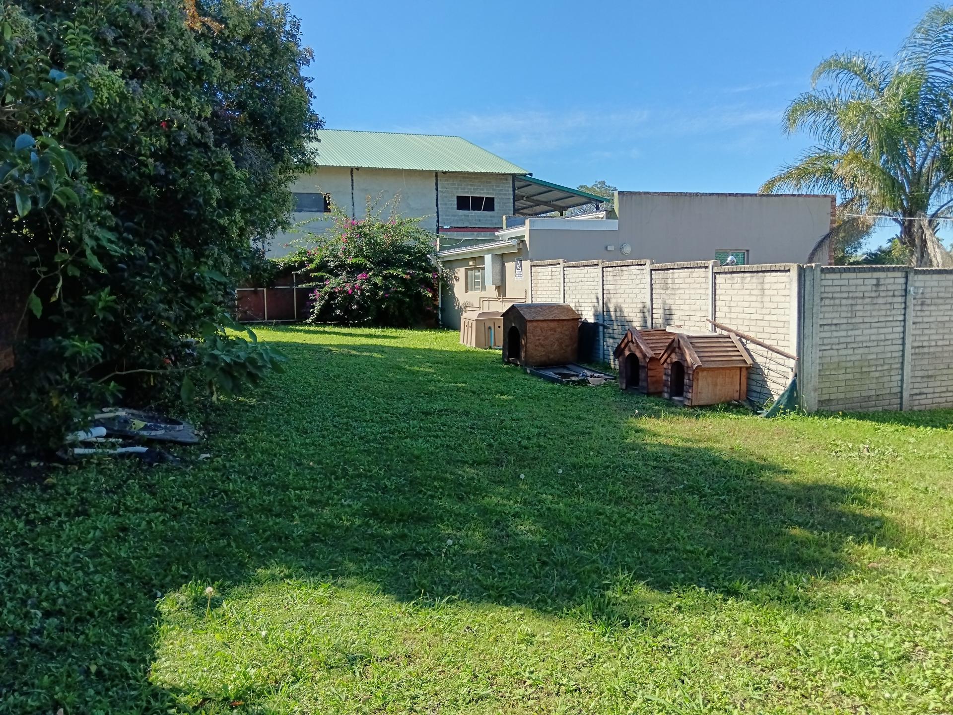 Backyard of property in East London