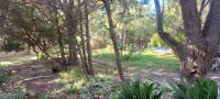 Front View of property in Riebeek Kasteel