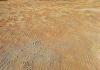 Land for Sale for sale in Bendor