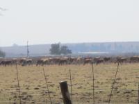  of property in Delmas