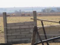  of property in Delmas