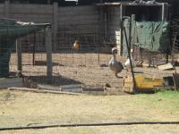 of property in Delmas