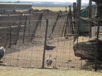  of property in Delmas