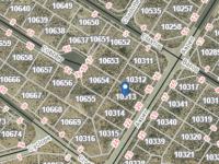 Land for Sale for sale in St Helena Bay