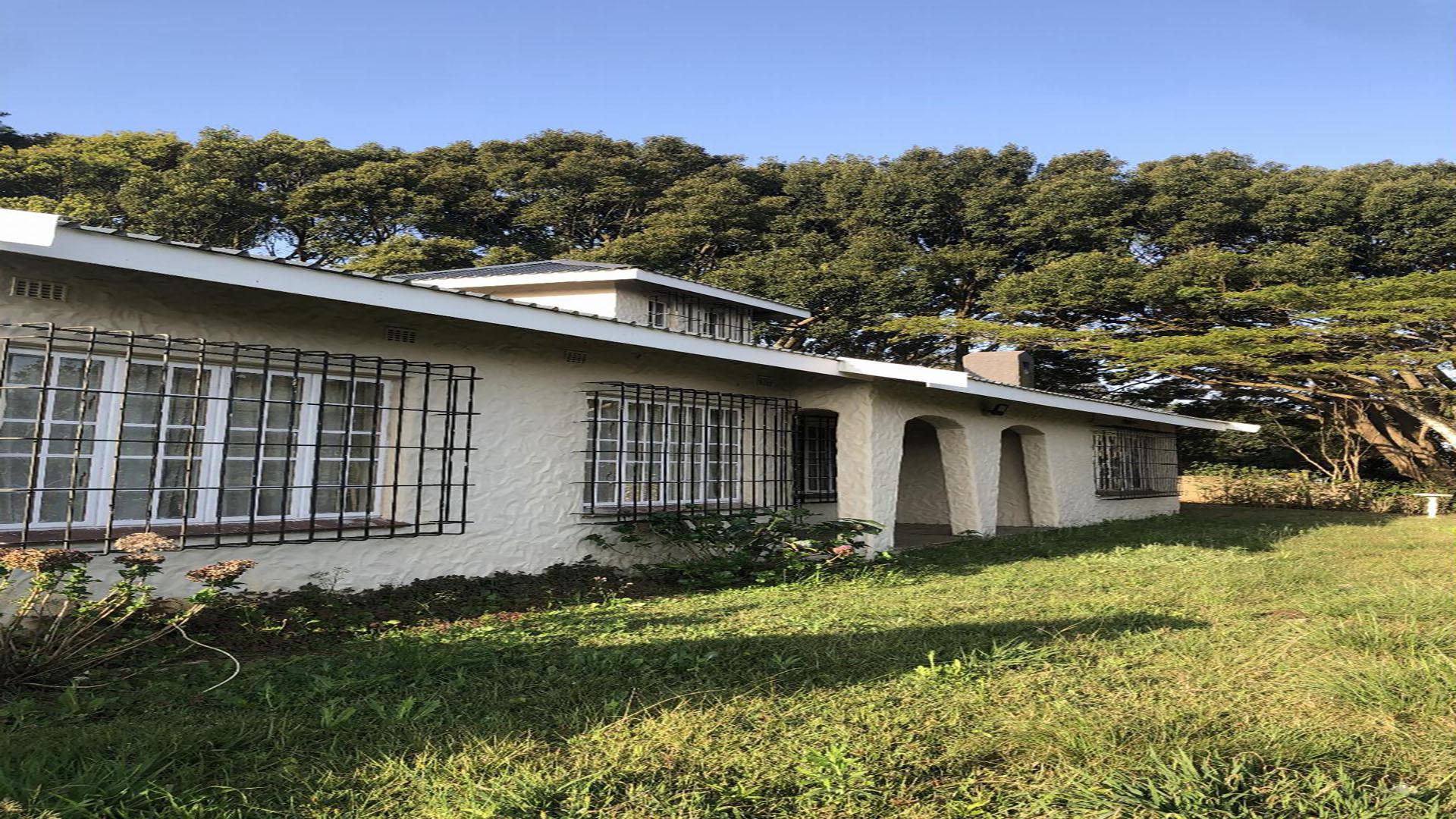 Backyard of property in West Riding - DBN