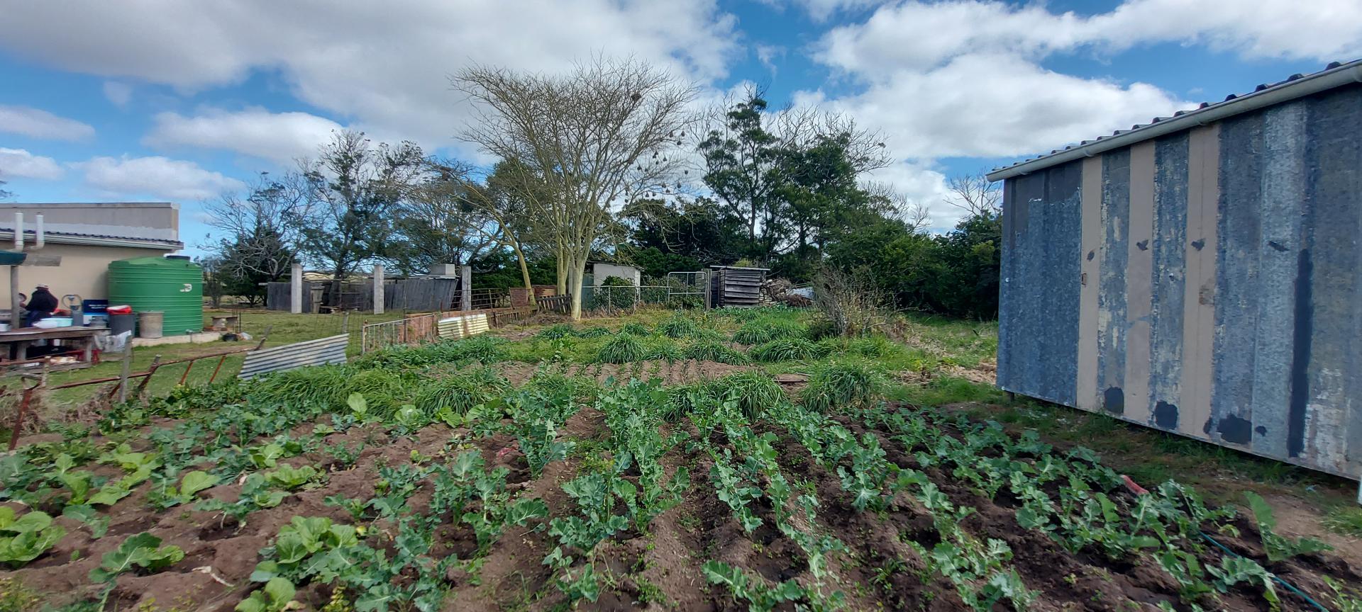  of property in Mossel Bay