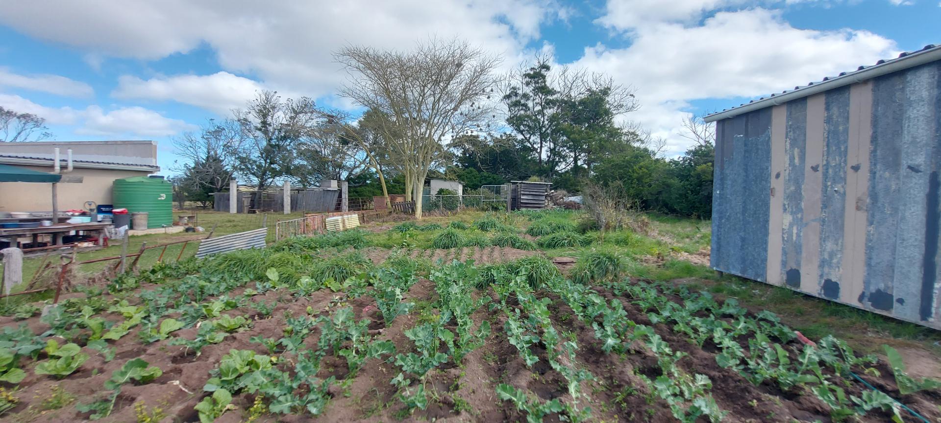  of property in Mossel Bay