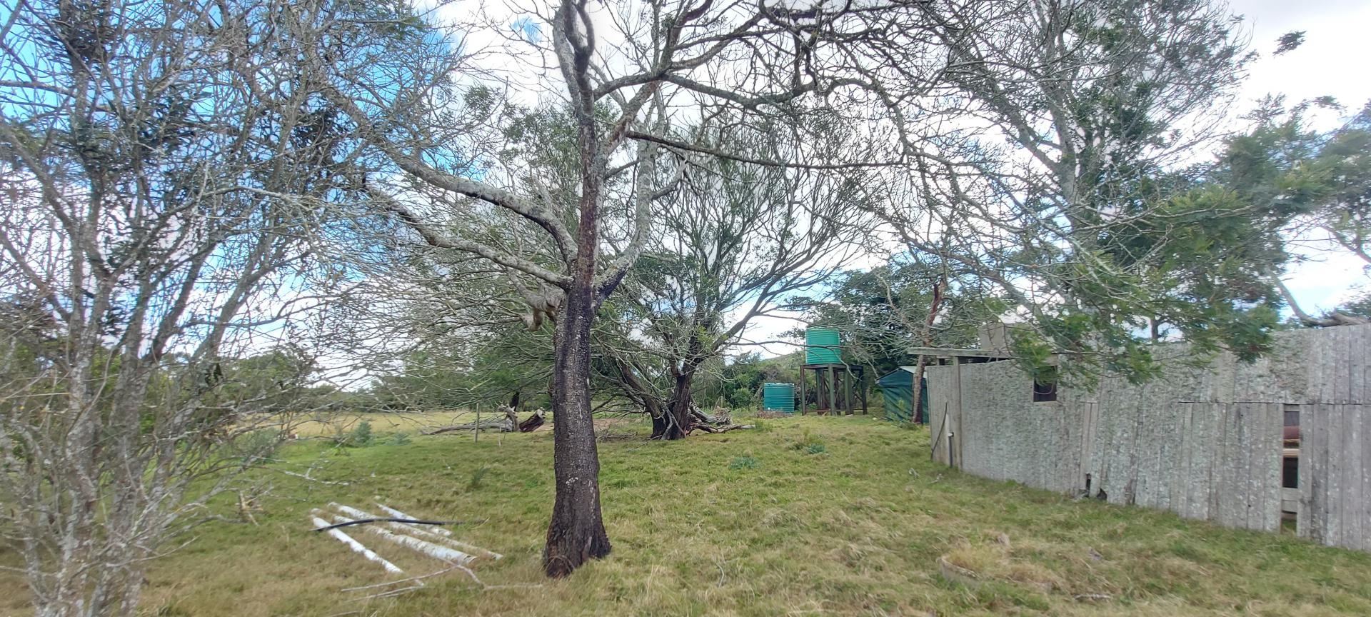  of property in Mossel Bay