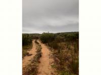 Farm for Sale for sale in Riversdale WC